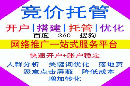 某电商平台的SEM代运营策略及效果评估